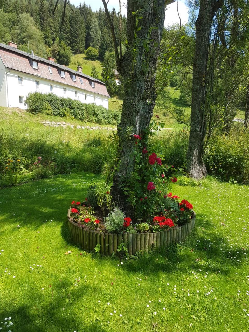Riverside Ski Apartment Ramingstein Экстерьер фото