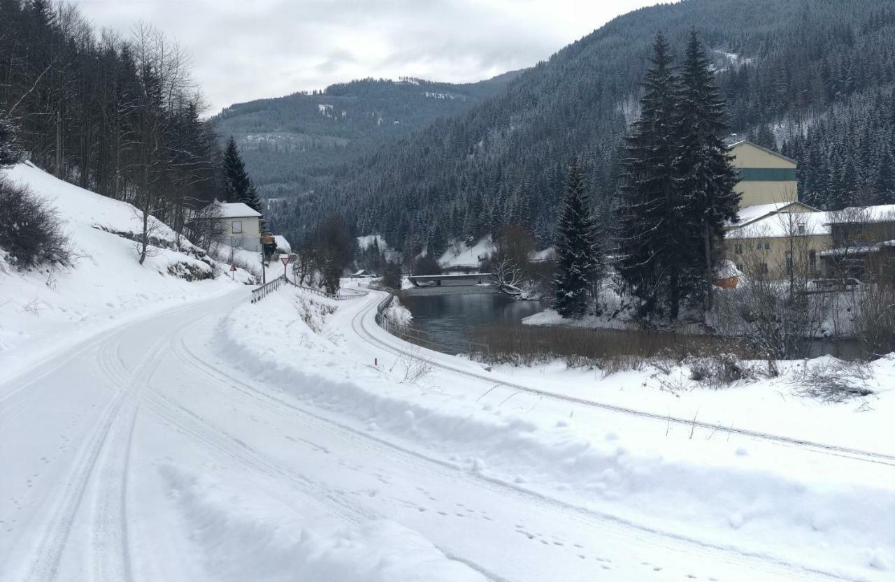 Riverside Ski Apartment Ramingstein Экстерьер фото